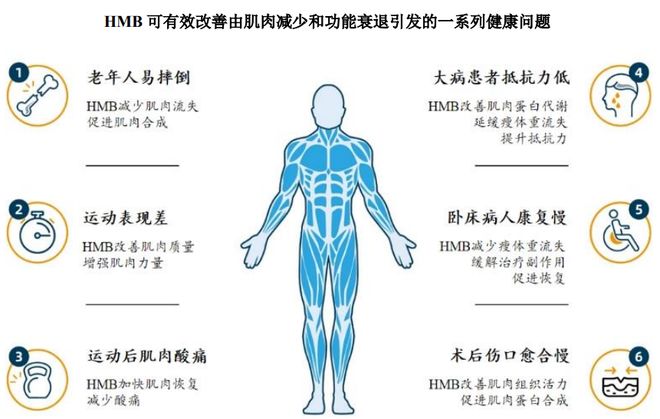 根运动健康赛道凭多元布局赢长远未来麻将胡了HMB全球龙头技源集团:扎(图5) 根运动健康赛道凭多元布局赢长远未来麻将胡了HMB全球龙头技源集团:扎(图5)